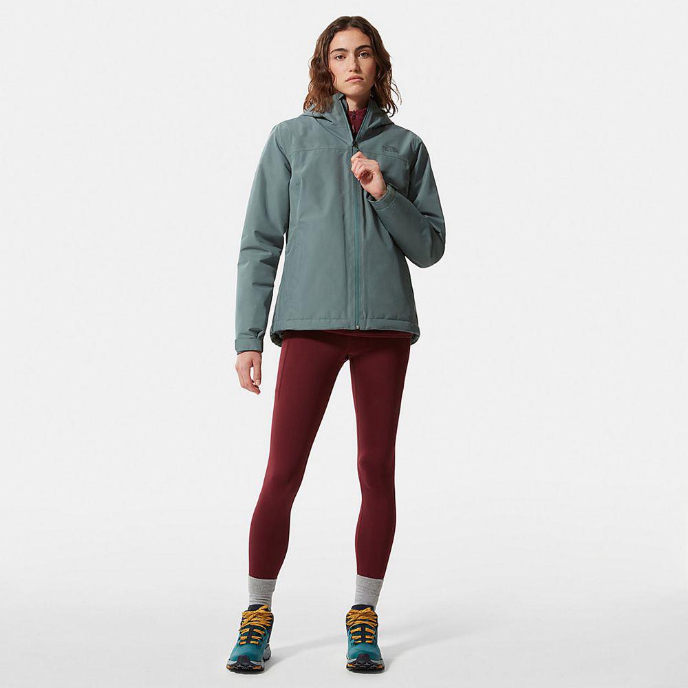 The north face hot sale lisie raschel jacket